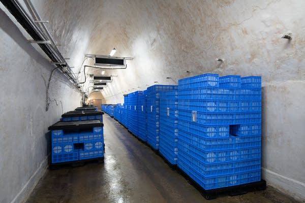 Meet the big cheese making award-winning dairy in caves in Faribault