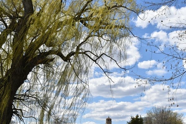 A cool weekend; Saturday shower chances highest to the south