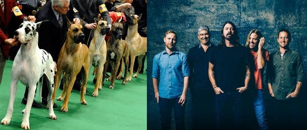 Big dogs and Foo Fighters