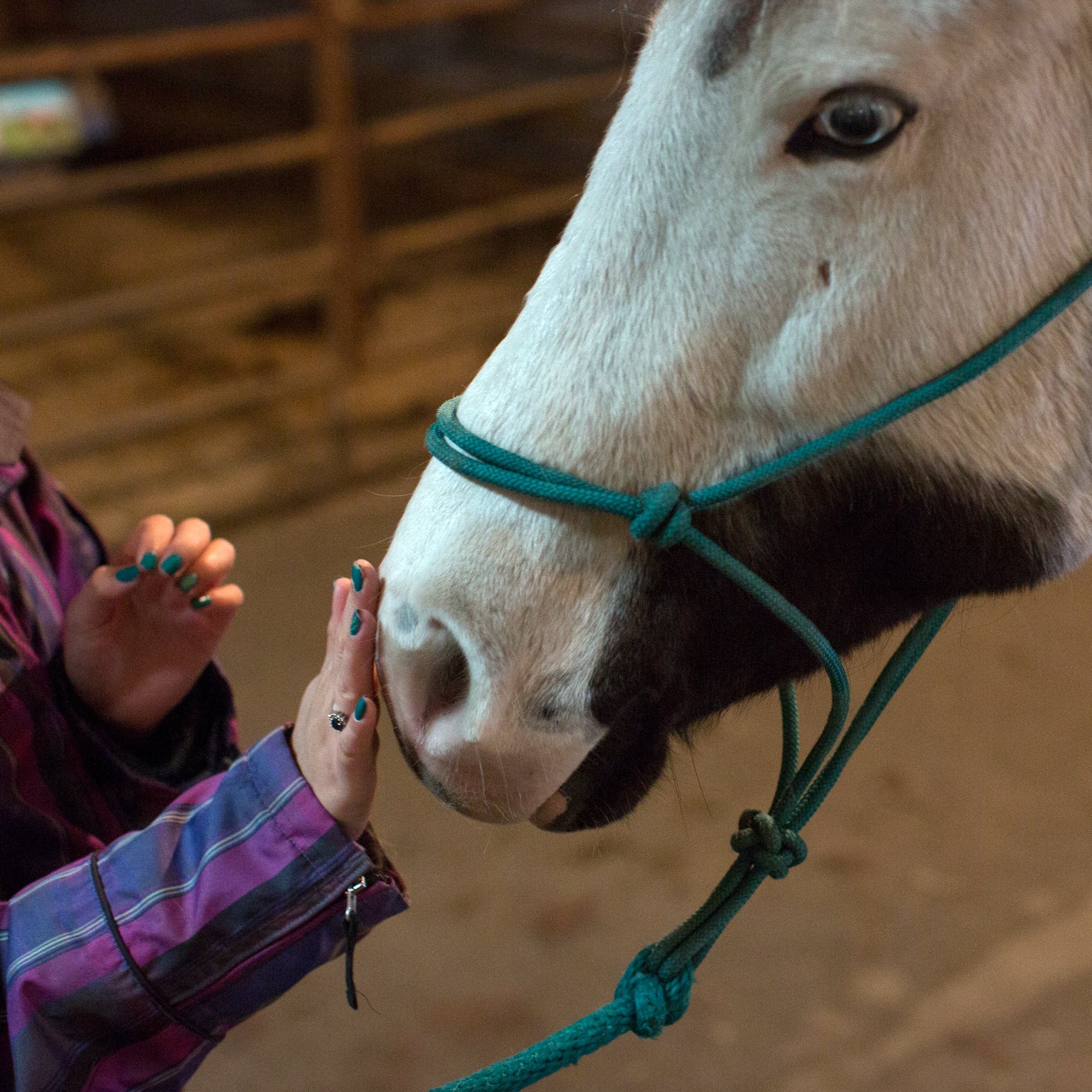 Bought and Sold: The New Fight Against Teen Sex Trafficking