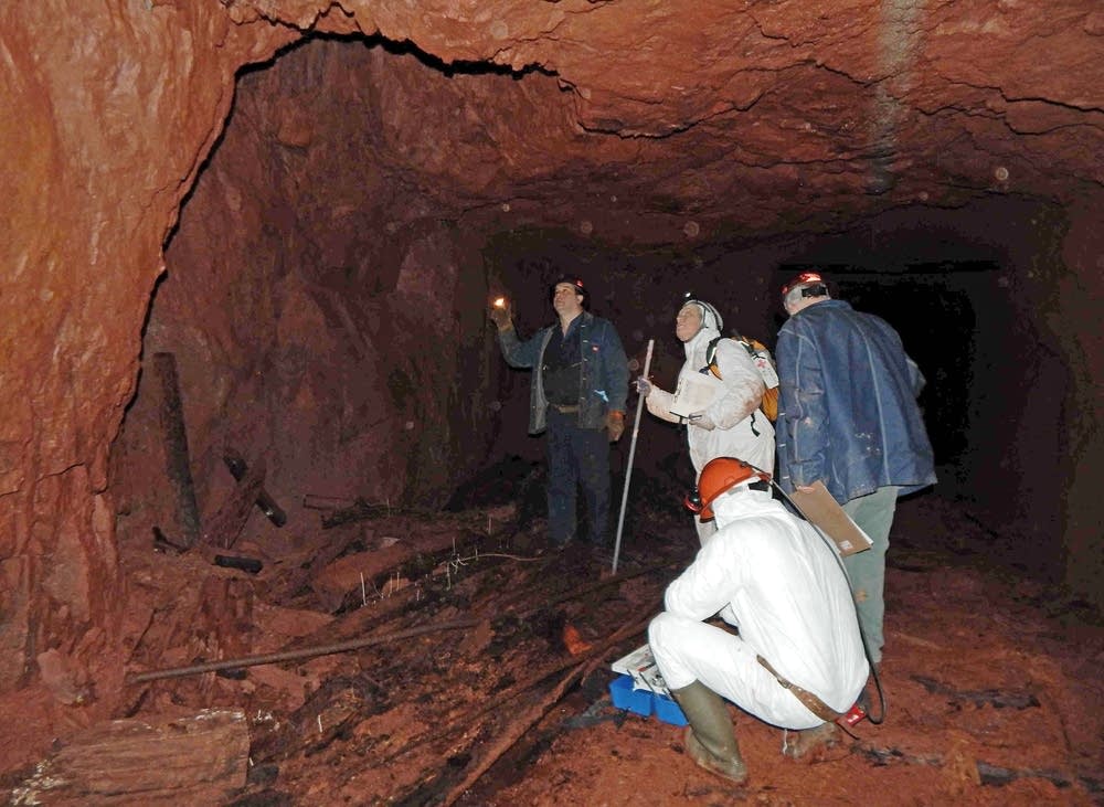 Researchers conduct bat counts in the Soudan Mine.