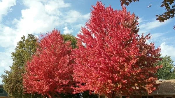 Mild again Wednesday; strong cold front Wednesday night