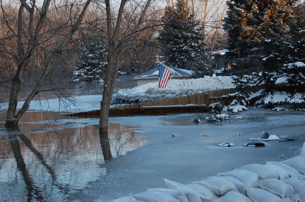 High waters in a Moorhead backyard