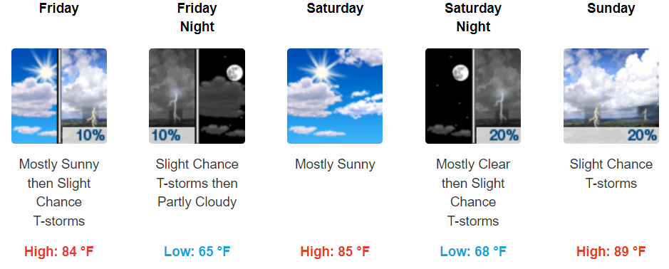 Forecast at a glance