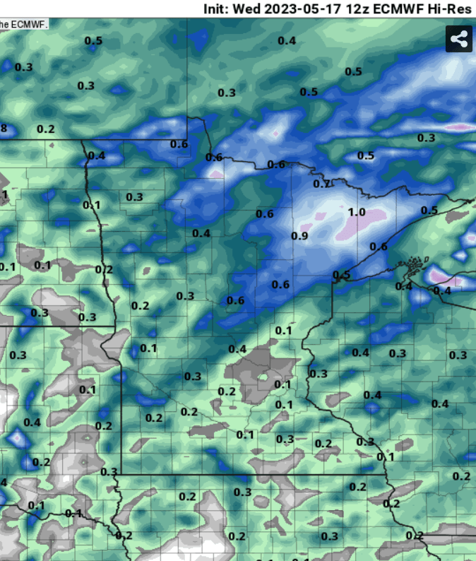 European model (ECMWF) precipitation output