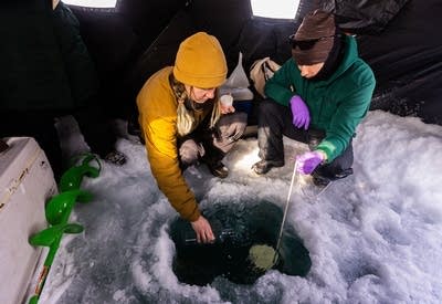 Two people take measurements out of a hole in a frozen lake.