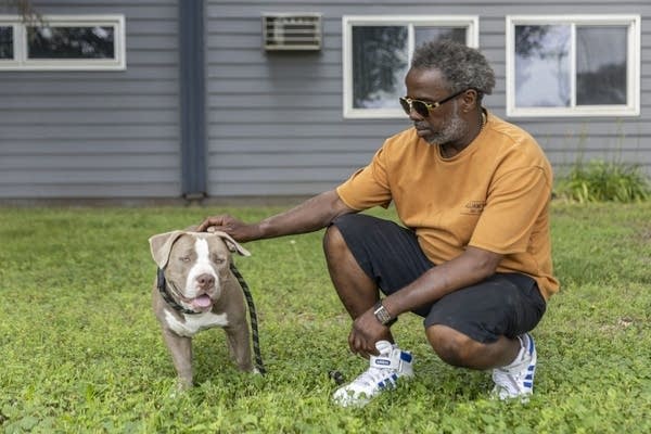 Balancing faith and affection: Somali families navigate dog ownership in Minnesota