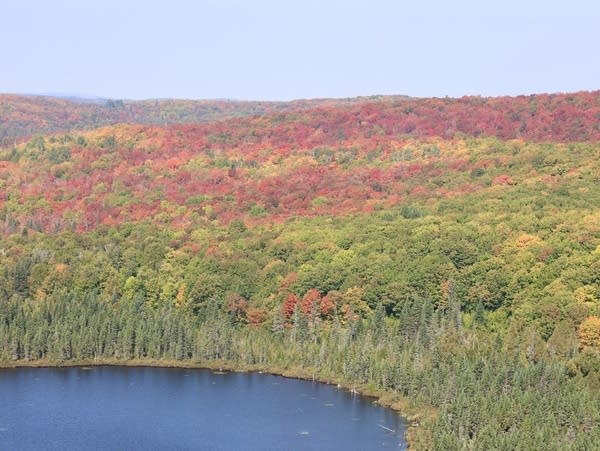 Autumn alert: Changeover to fall colors is happening quickly in northern Minnesota
