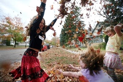 Community leaf pile