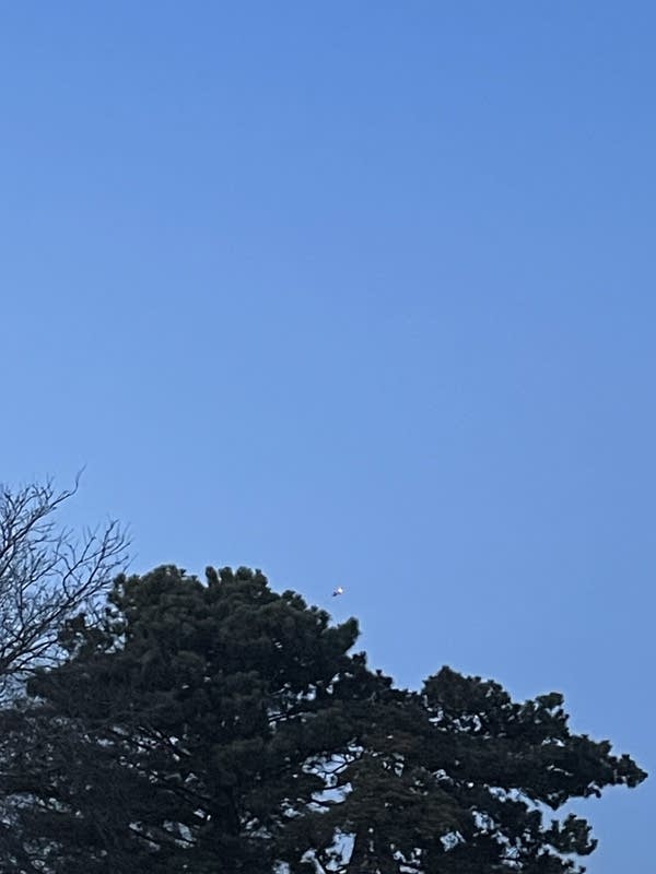 A drone in the sky