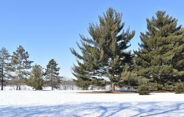 Weekend weather: Cold, breezy Saturday; temps recover a bit on Sunday