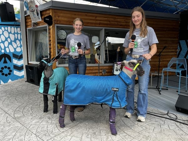 Two people stand on a stage with two sheep.