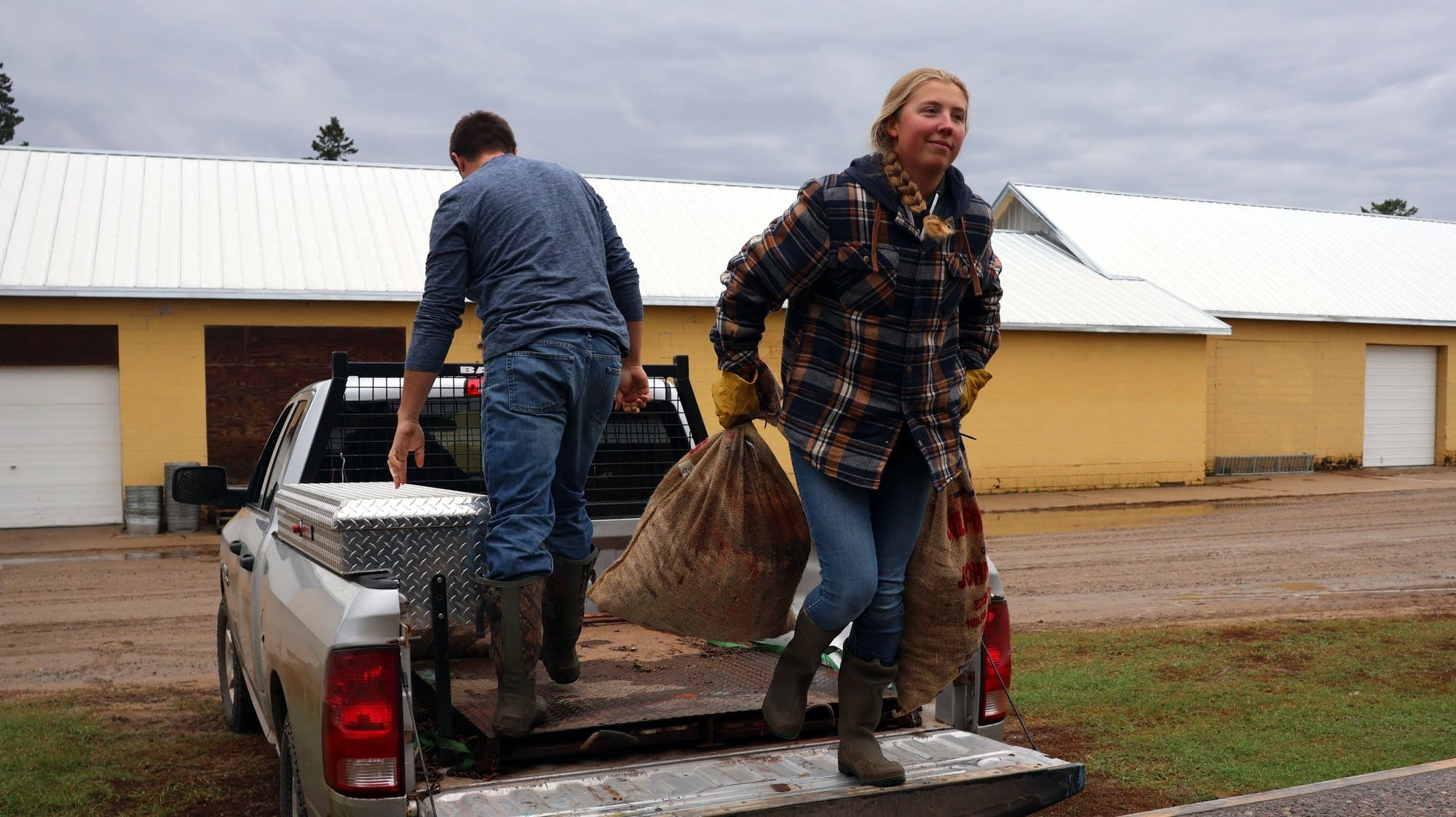Minnesota tree nursery plans big expansion to meet demand MPR News
