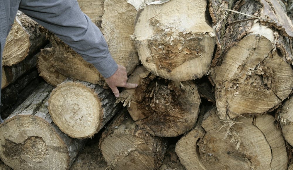 Biomass fuel lumber