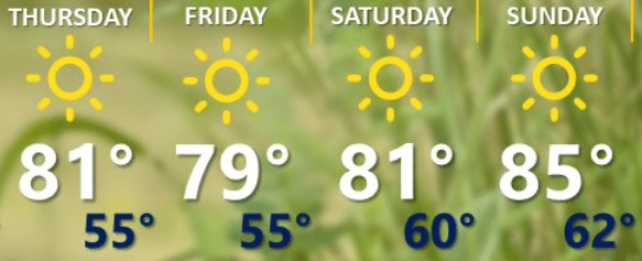 weather graphic
