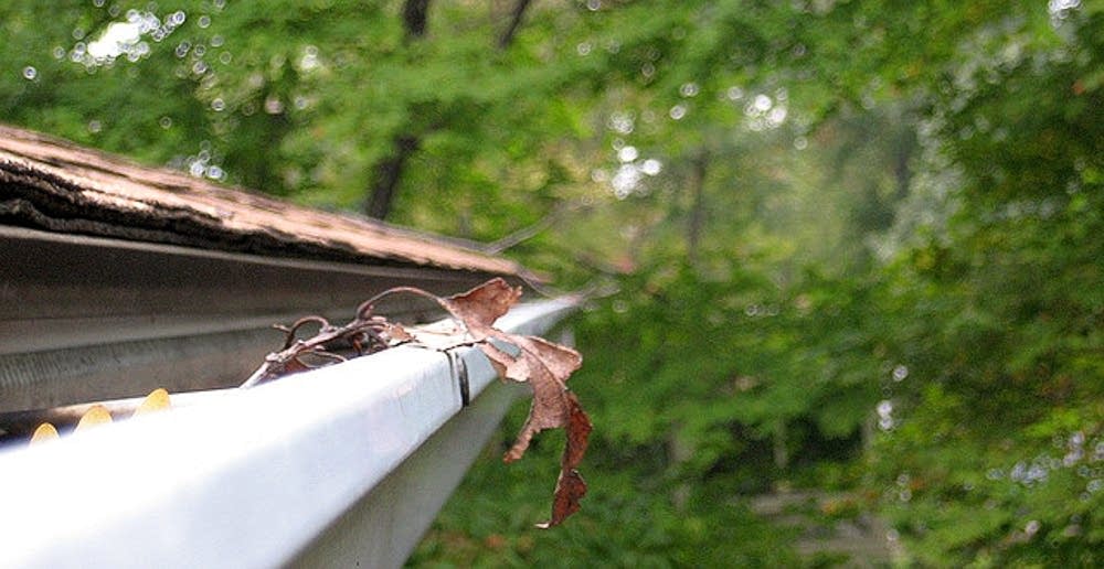 Clogged gutter