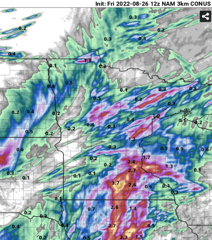 NOAA NAM precip
