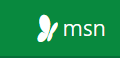 msn logo