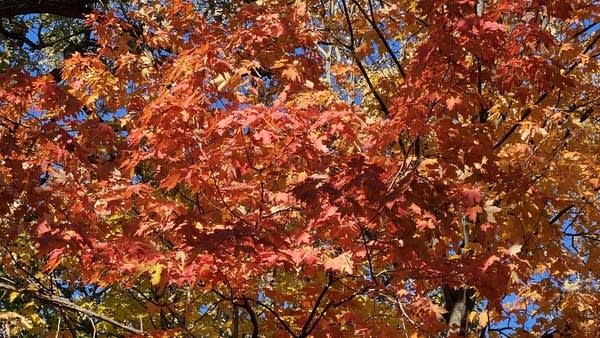 Gusty winds Saturday, much lighter winds on Sunday