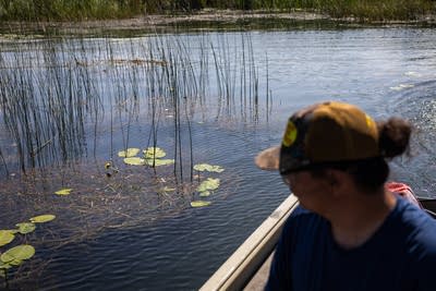 Many Minnesotans don’t value aquatic plants. The state’s lakes are paying a price.