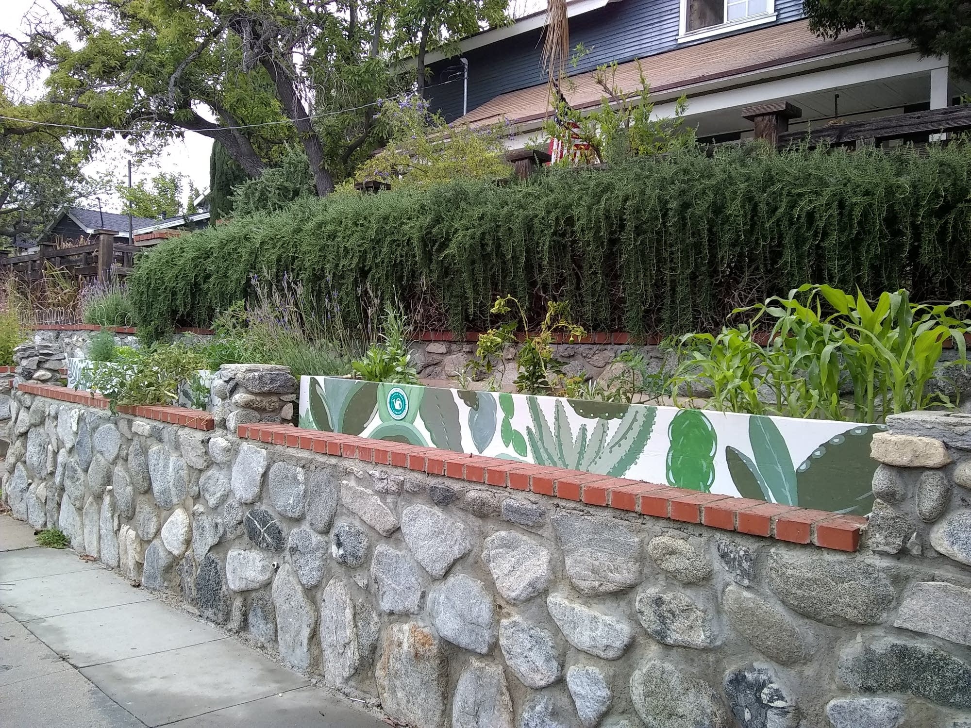 The Little Free Garden in Tina Renzullo's front yard in Pasadena.