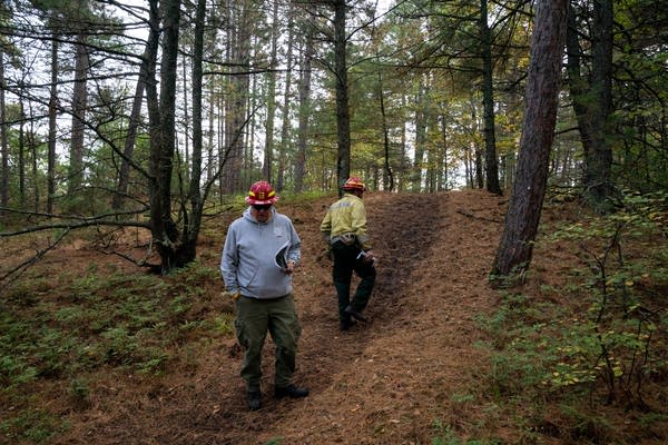 Crews walking through the woods