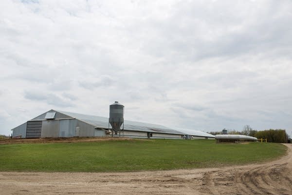 Barn where turkeys died from avian influenza