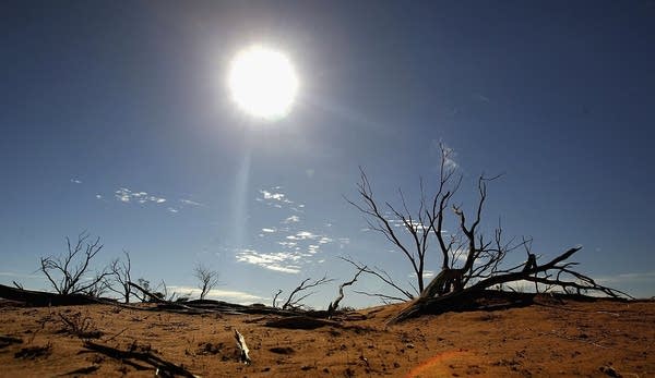 The Australian landscape faces dramatic changes