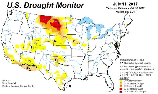 Hay disaster looms in drought-stricken North Dakota