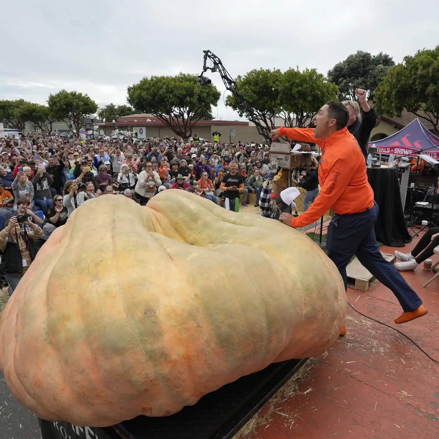 Minnesota pumpkin grower aims to squash his own world record | MPR