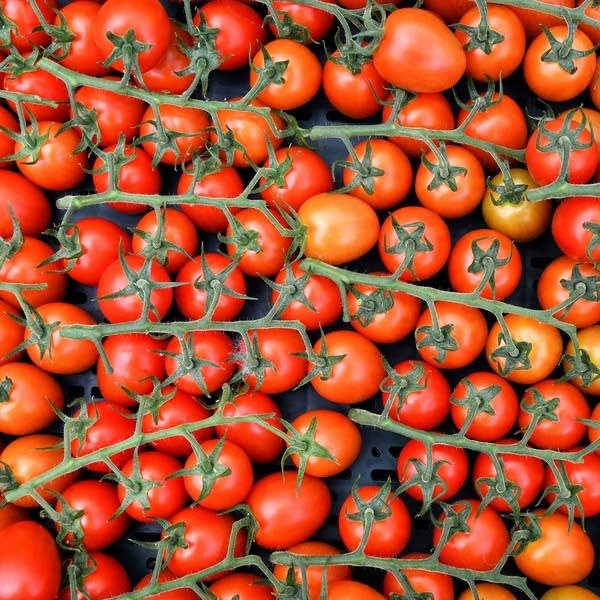 In July? Life-changing. In December? Ehh.