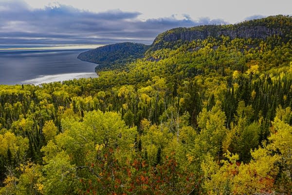 A view over forests and Lake Superior