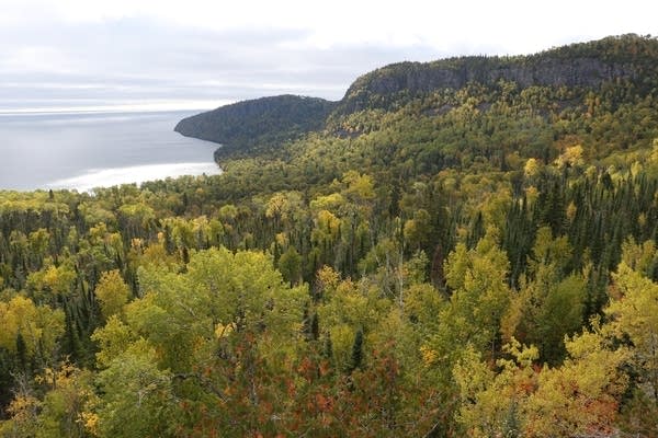 A view over forests and Lake Superior