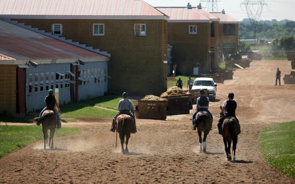 Riding back to the barn