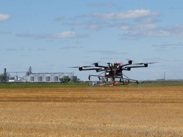 drone sprayer flies over harvested field