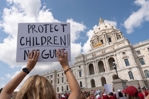 Photo of a sign that reads, "Protect children!! Not guns," with the Minnesota State Capitol in the background.