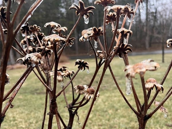 School closures, power outages reported amid snow, sleet and freezing rain in Minnesota