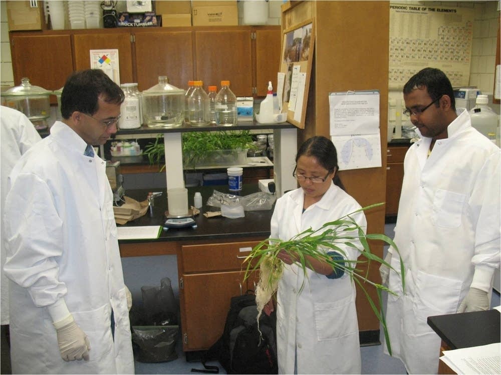 Nanoparticle research