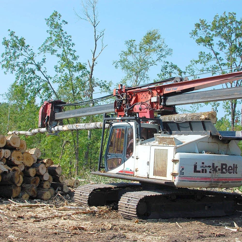dnr-staff-agency-leaders-disregarding-wildlife-concerns-in-timber-harvest-plan-mpr-news