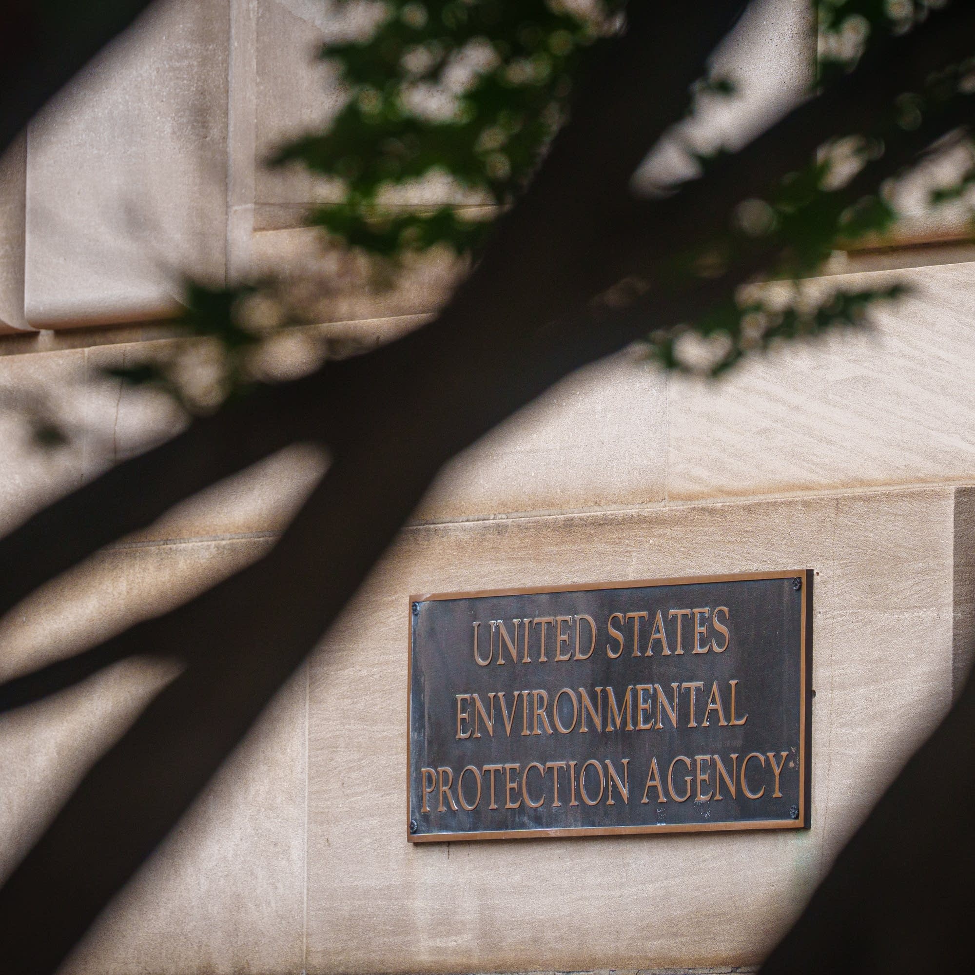 Inside the "biggest deregulatory action in U.S. history" artwork