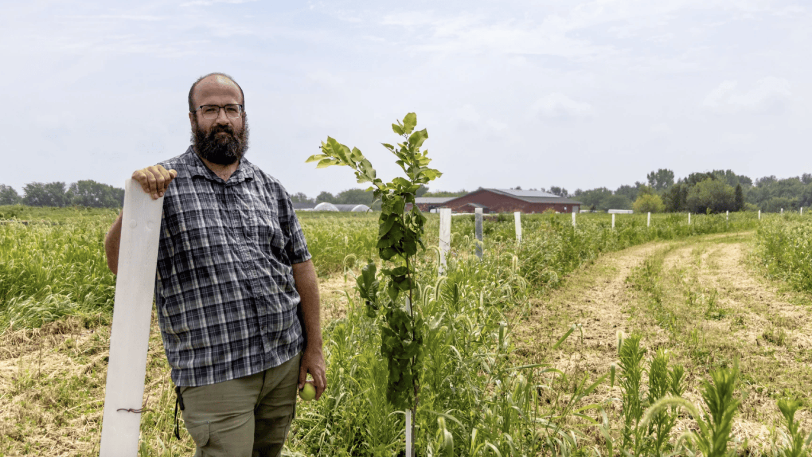 A man stands next to a row of trees 