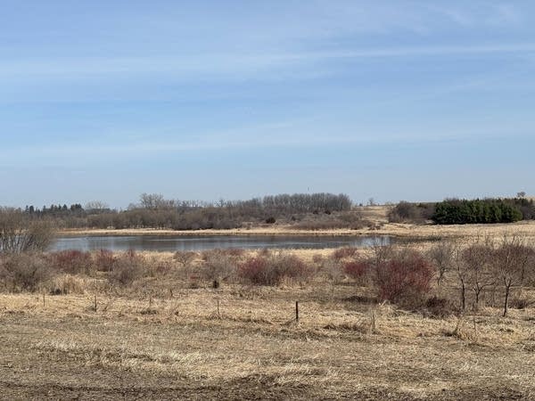 A view of a nature reserve.