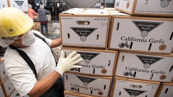 An employee at Christopher Ranch works with boxes of fresh garlic in Gilroy, California. Ken Christopher, Executive Vice President of Christopher Ranch says there’s been a surge in demand for fresh garlic as more families cook at home. 