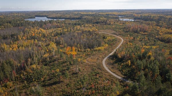 Aerial view of a winding trail through a forest in autumn.
