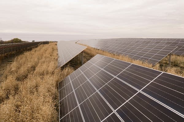 Solar panels in a field-1