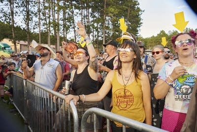 Music fans watch a performance at an outdoor music festival
