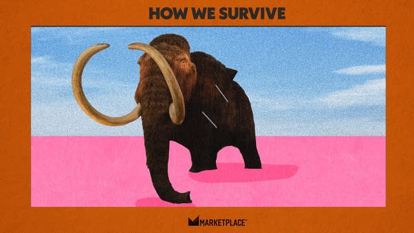 Colossal claims that using tiny bits of mammoth DNA, preserved over thousands of years, they can use gene editing to bring the giant creature back.
