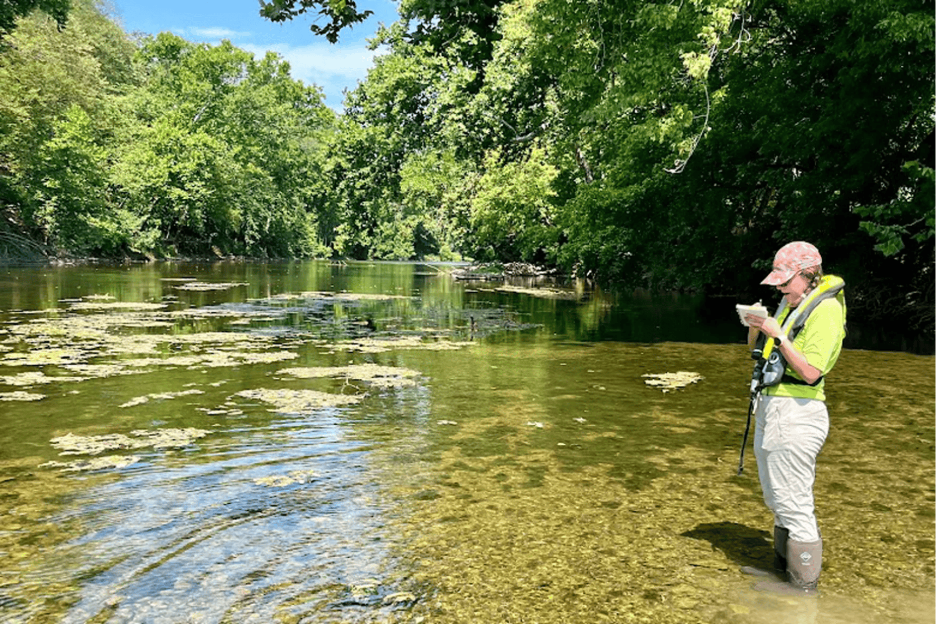 A person observes algal bloom near a river