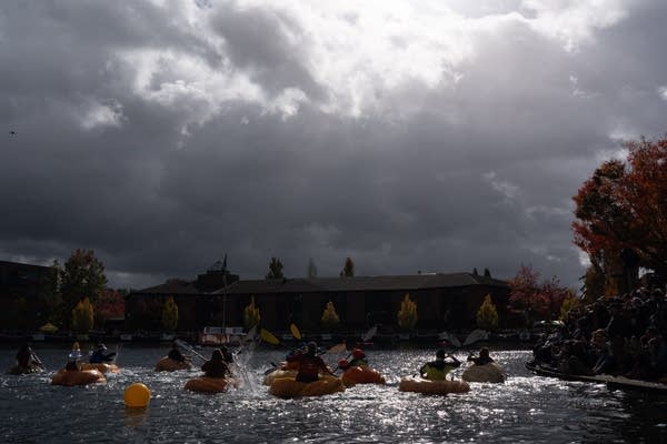 0593b9-20251021-pumpkin-regatta03-600 Giant floating pumpkin races attract large crowds to the annual event in Oregon