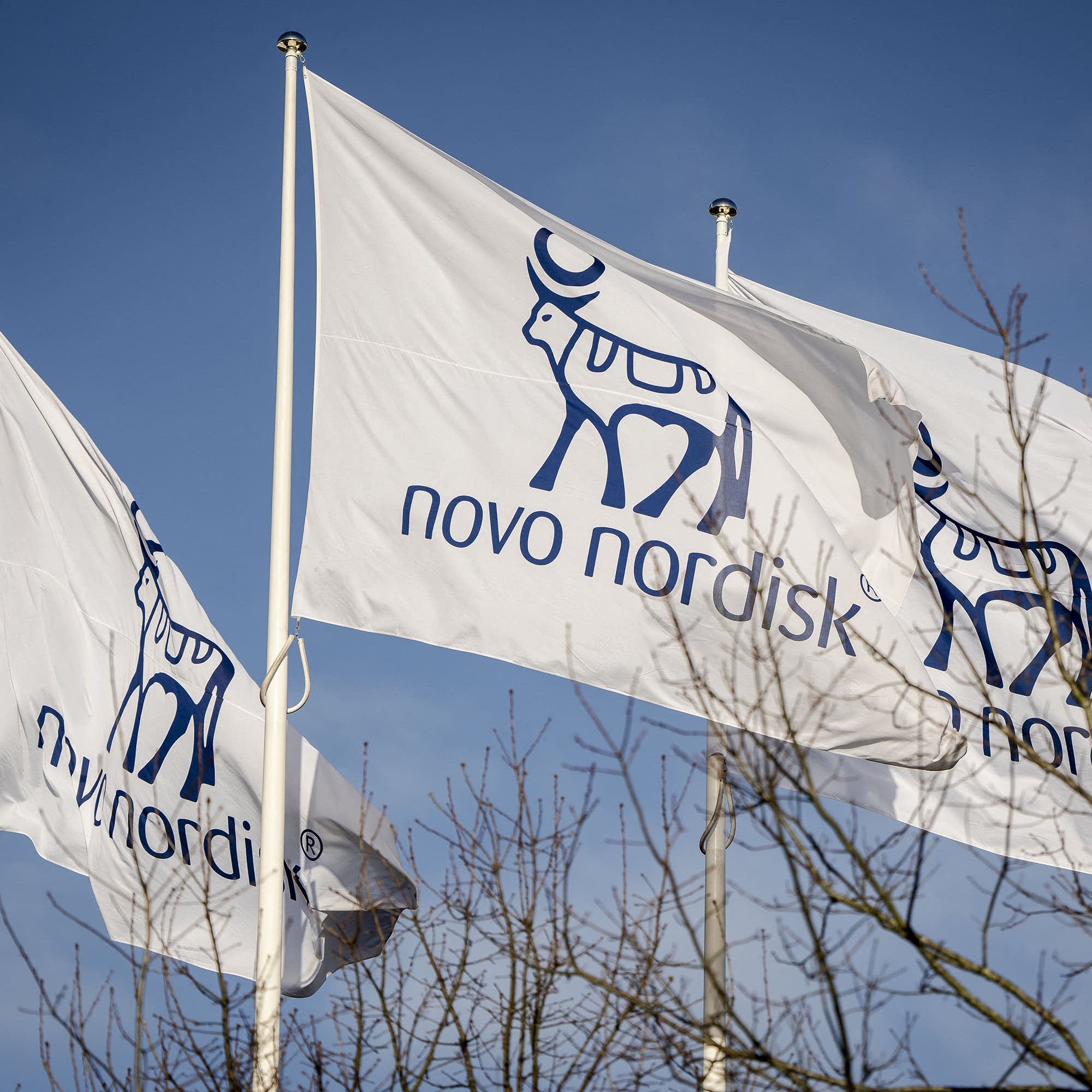 A new era for weight-loss drugs